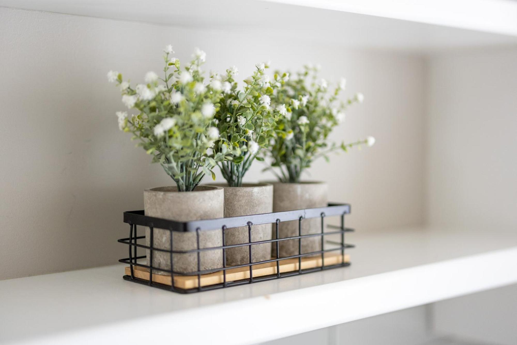 Luxury Downtown Townhome Unit 5 Cleveland Ngoại thất bức ảnh